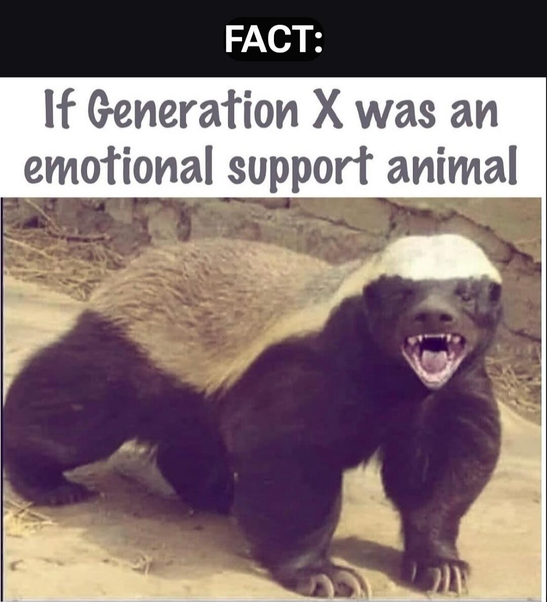 FACT: If Generation X was an emotional support animal
