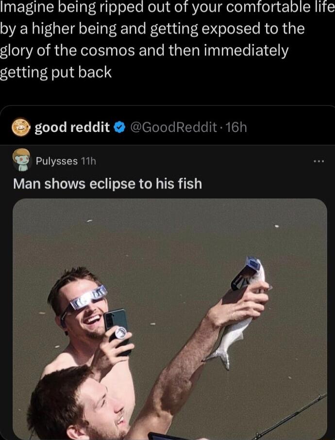IR lelolle Relligel YelNgelelyyl elgeclol RN by a higher being and getting exposed to the glory of the cosmos and then immediately getting put back good reddit GoodReddit 16h Pulysses 11h Man shows eclipse to his fish