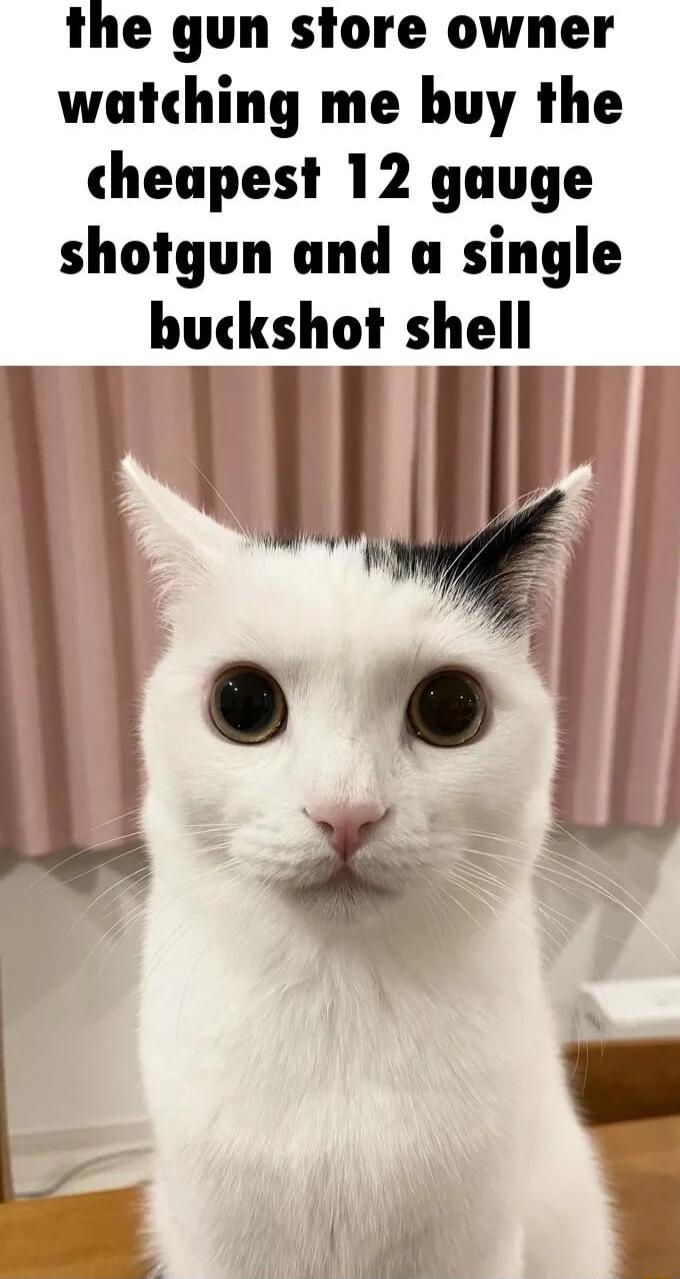 the gun store owner wutching me buy the hp IZgg bu kh hII lmu