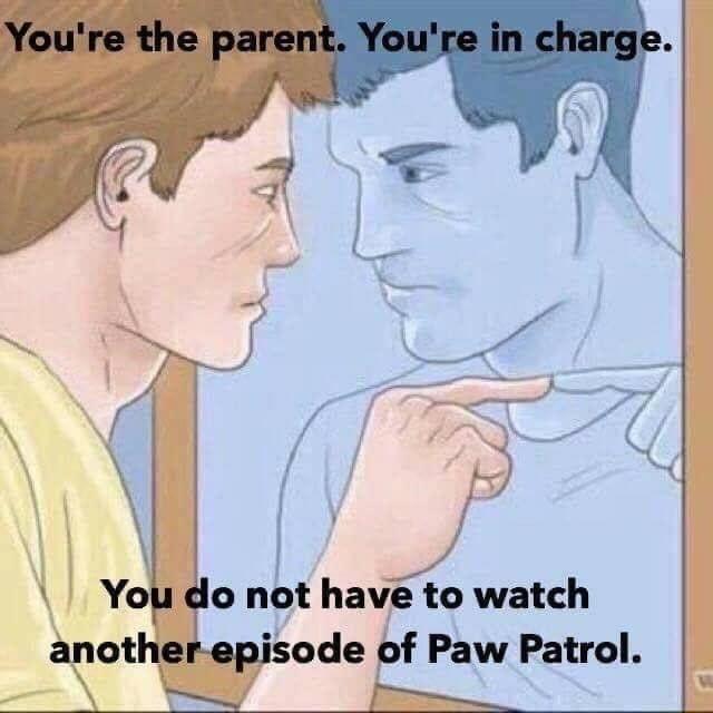 You do not have to watch anotheWSode of Paw Patrol T e