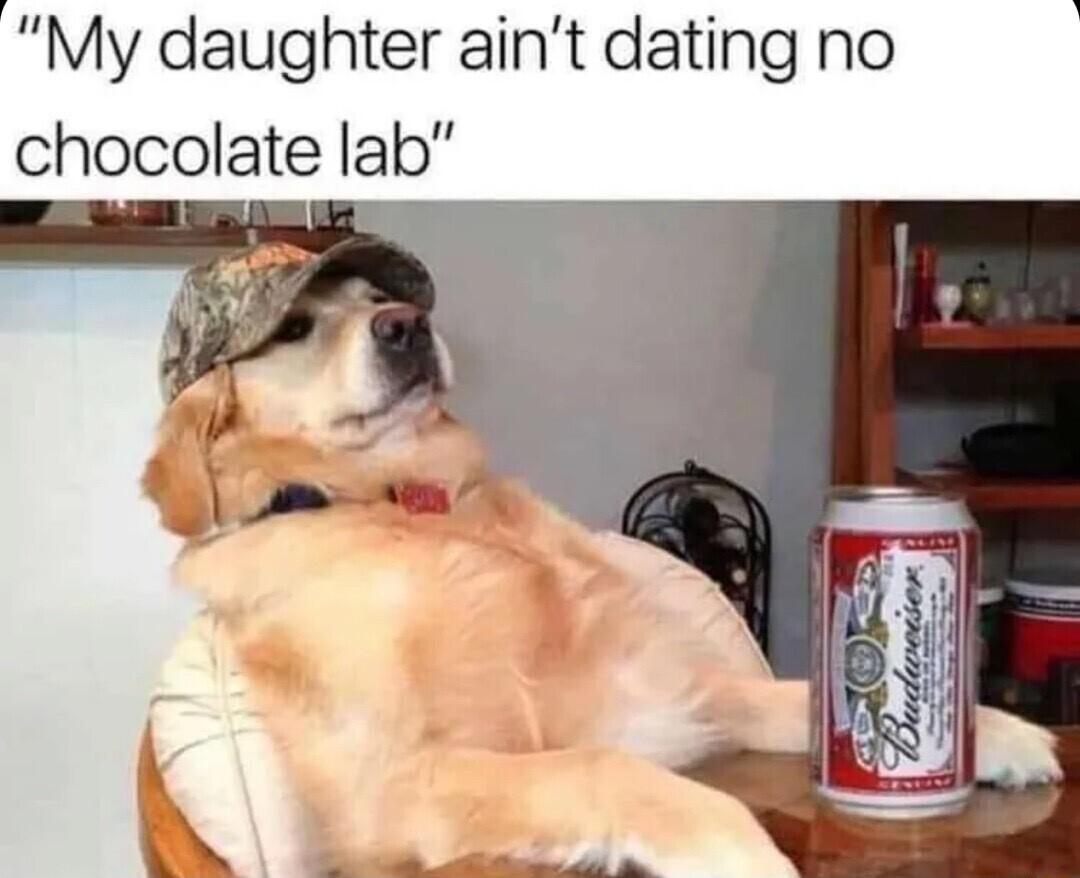 My daughter aint dating no chocolate lab