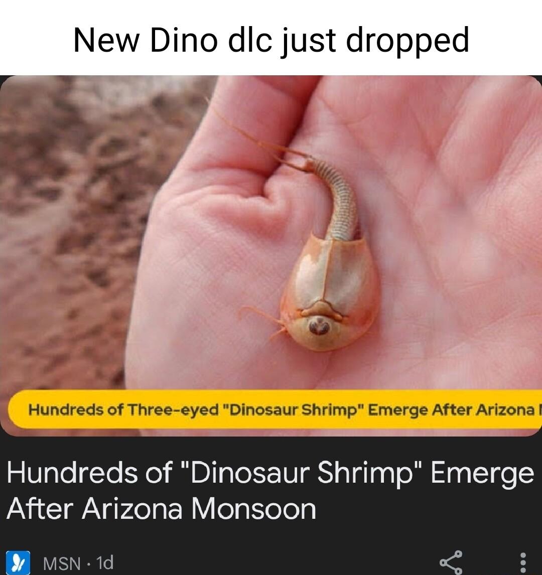 New Dino dlc just dropped o Hundreds of Dinosaur Shrimp Emerge After Arizona Monsoon