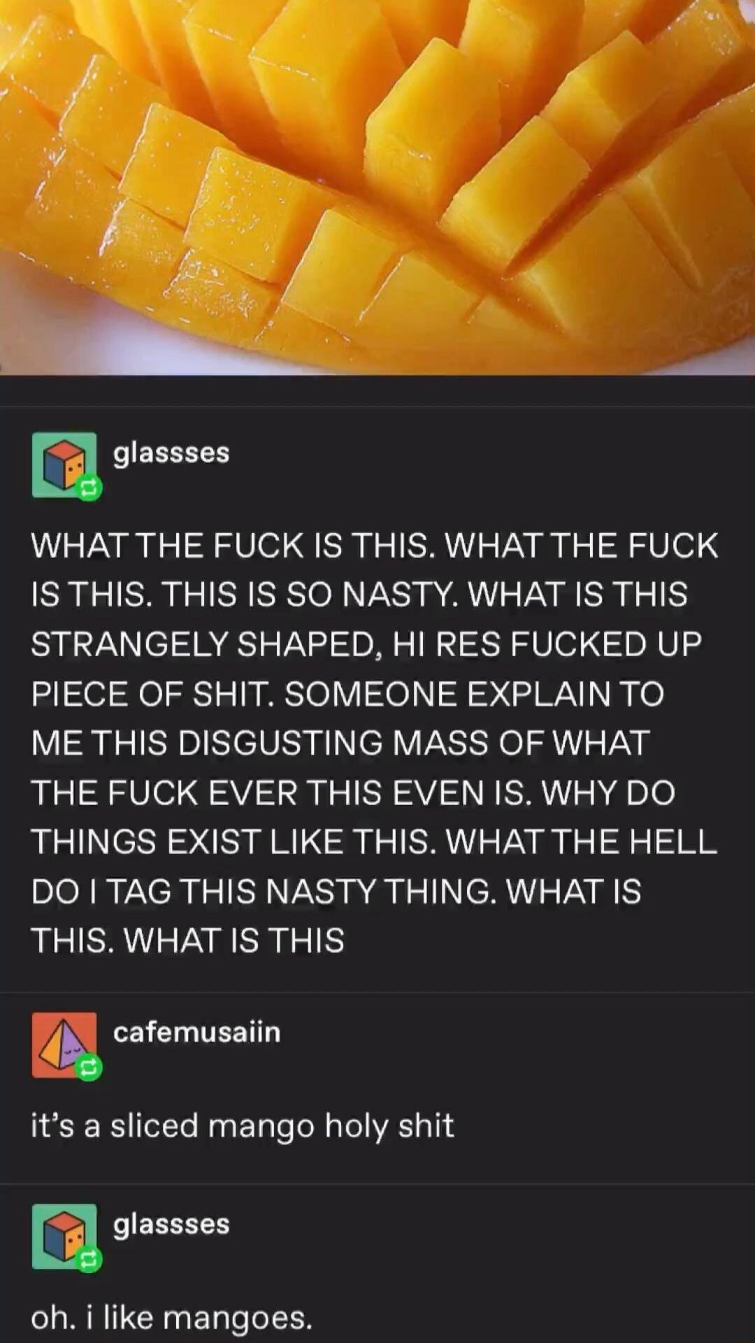 E Jn glassses WHAT THE FUCK IS THIS WHAT THE FUCK IS THIS THIS IS SO NASTY WHAT IS THIS STRANGELY SHAPED HI RES FUCKED UP PIECE OF SHIT SOMEONE EXPLAIN TO ME THIS DISGUSTING MASS OF WHAT THE FUCK EVER THIS EVEN IS WHY DO THINGS EXIST LIKE THIS WHAT THE HELL DO TAG THIS NASTY THING WHAT IS THIS WHAT IS THIS v cafemusaiin e its a sliced mango holy shit m glassses CR ETleoI EN