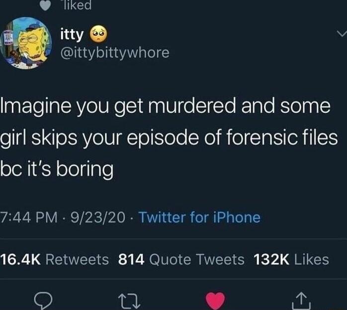A L itty v ittybittywhore Imagine you get murdered and some girl skips your episode of forensic files olelligY ololylale 744 PM 92320 Twitter for iPhone 164K Retweets 814 Quote Tweets 132K Likes s