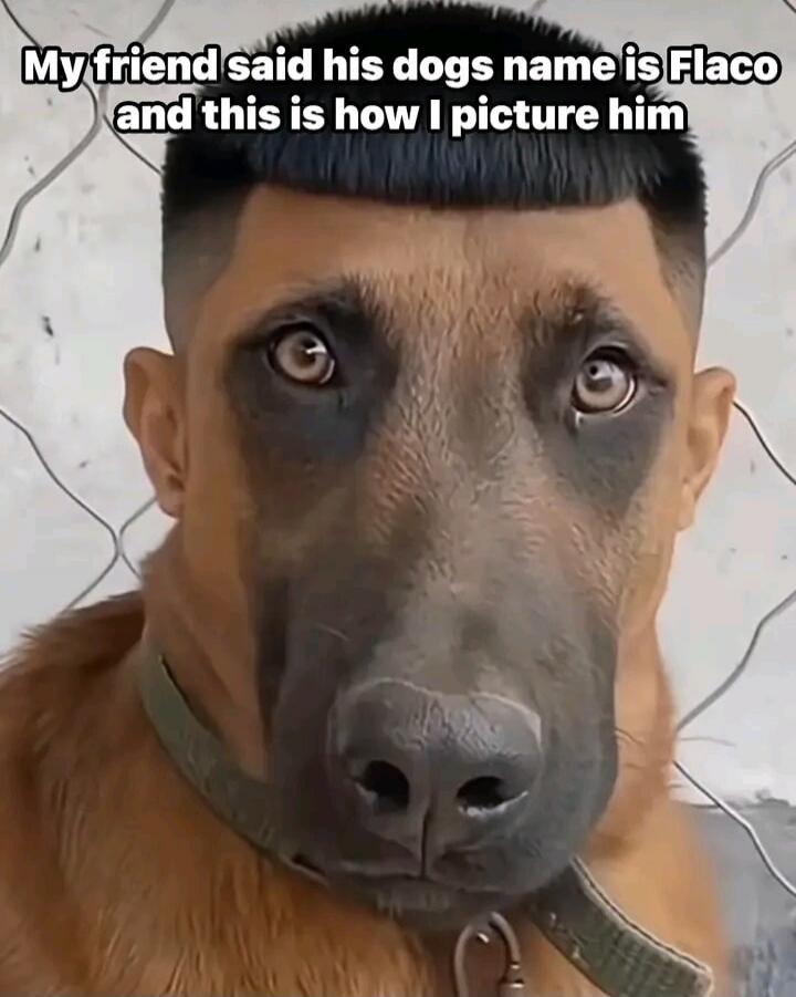 My friend said his dogs name is Flaco and this is how I picture him