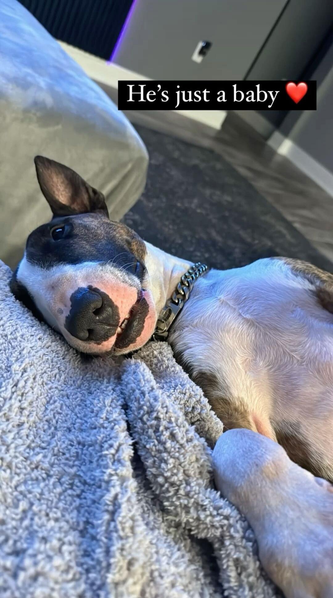 He’s just a baby ❤️