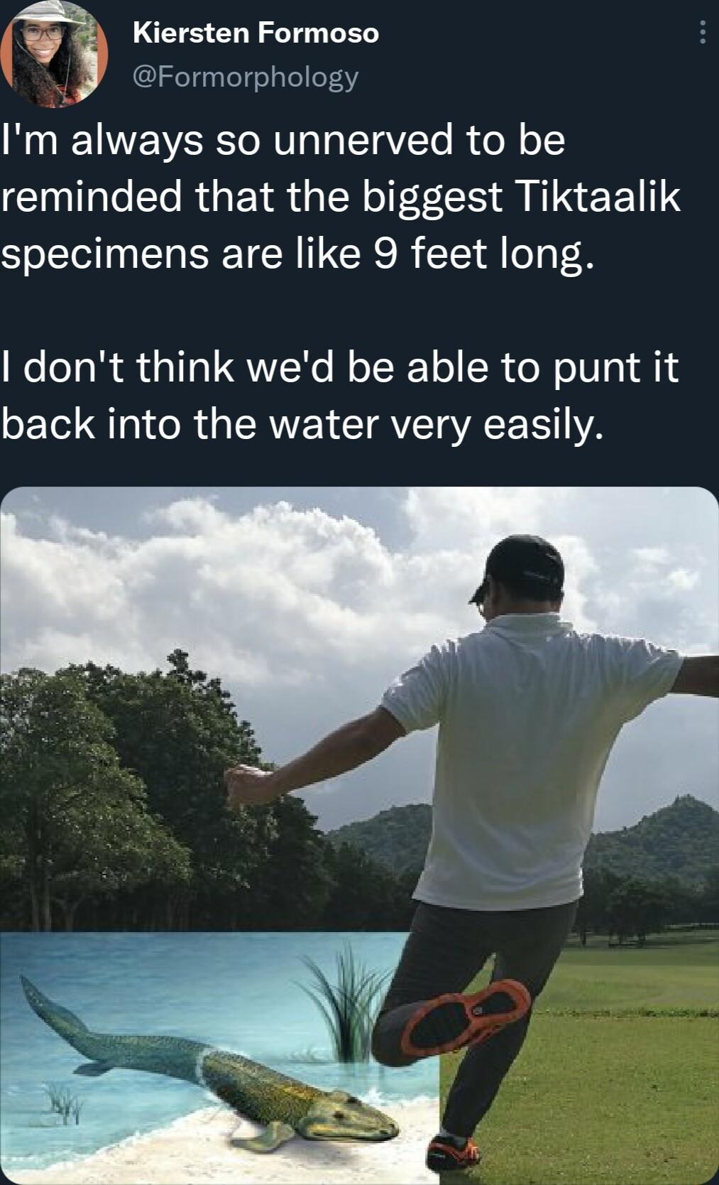 v Kiersten Formoso Formorphology Im always so unnerved to be reminded that the biggest Tiktaalik specimens are like 9 feet long dont think wed be able to punt it back into the water very easily