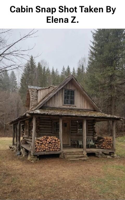 Cabin Snap Shot Taken By Elena Z.