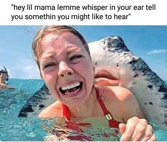 hey lil mama lemme whisper in your ear tell you somethin you might like to hear