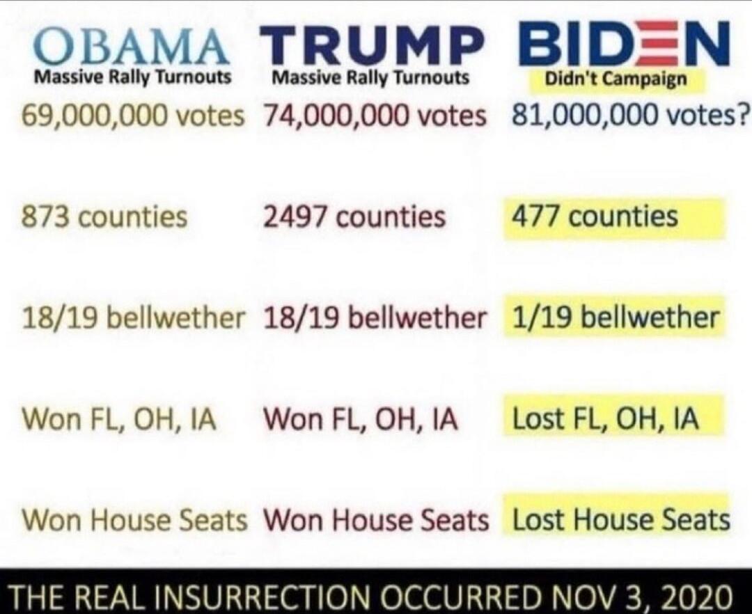 OBAMA Massive Rally Turnouts | TRUMP Massive Rally Turnouts | BIDEN Didn't Campaign 69,000,000 votes | 74,000,000 votes | 81,000,000 votes?
873 counties | 2497 counties | 477 counties
18/19 bellwhether | 18/19 bellwether | 1/19 bellwether
Won FL, OH, IA | Won FL, OH, IA | Lost FL, OH, IA
Won House Seats | Won House Seats | Lost House Seats
THE REAL