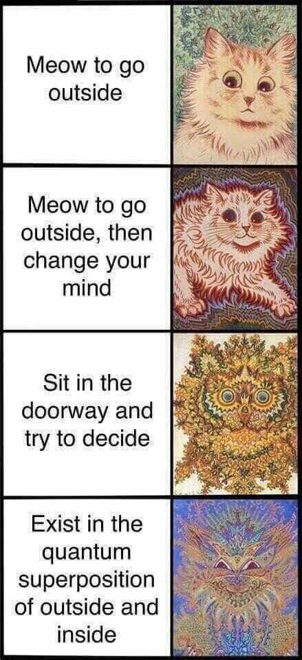 Meow to go outside Meow to go outside then change your mind Sit in the doorway and try to decide Exist in the quantum superposition of outside and inside