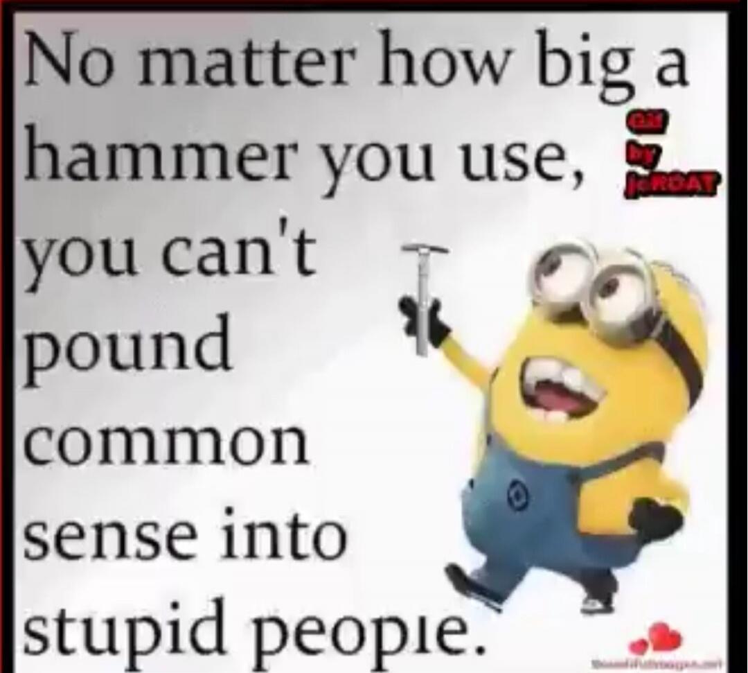No matter how big a hammer you use, you can't pound common sense into stupid people.