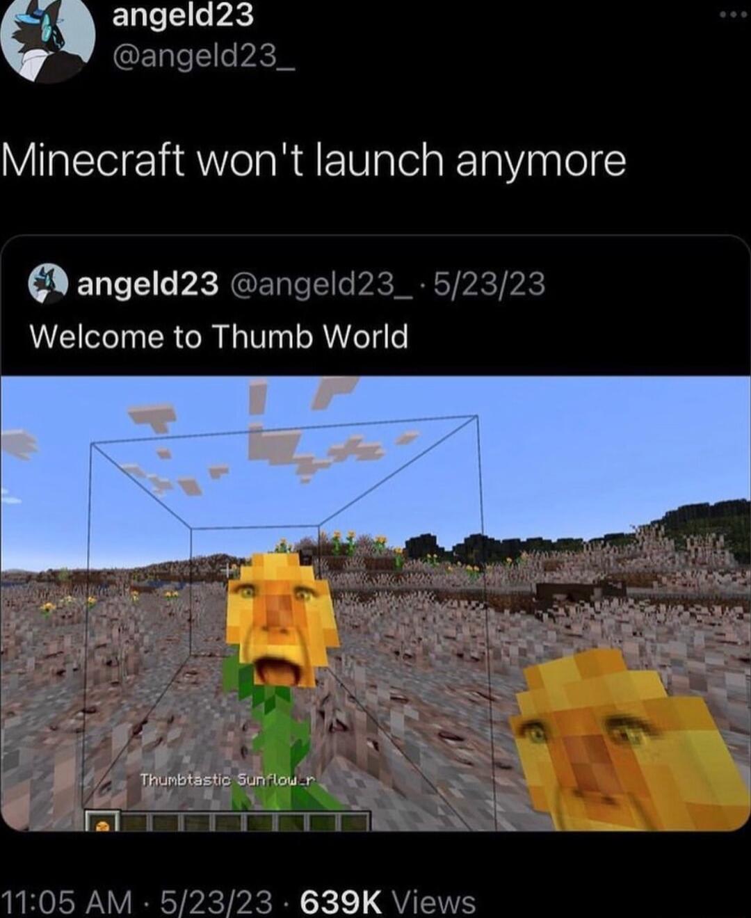 c angeld23 Minecraft wont launch anymore angeld23 Welcome to Thumb World Tpnerbet Sunviou v ral 639K