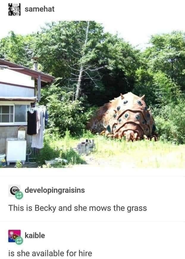 developingraisins This is Becky and she mows the grass Kaible is she available for hire Source samehat art place nature e S N O o