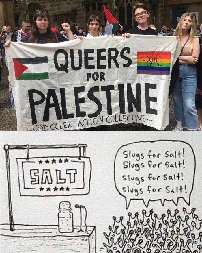 Slugs for Salt Slogs For Salt Slugs For Salt slugs for Salth