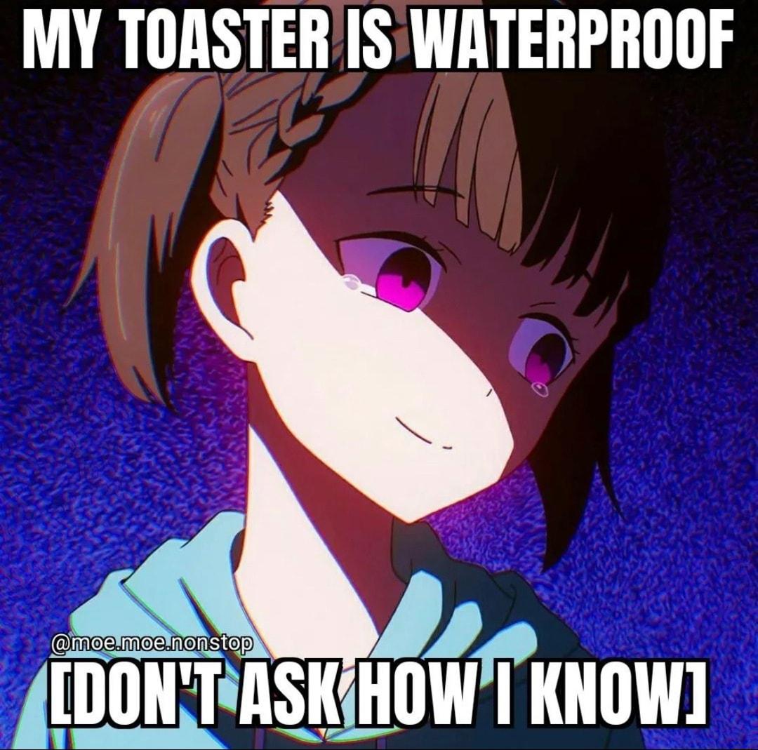 MY TOASTERISWATERPROOF DONTASKHOWT KNOW