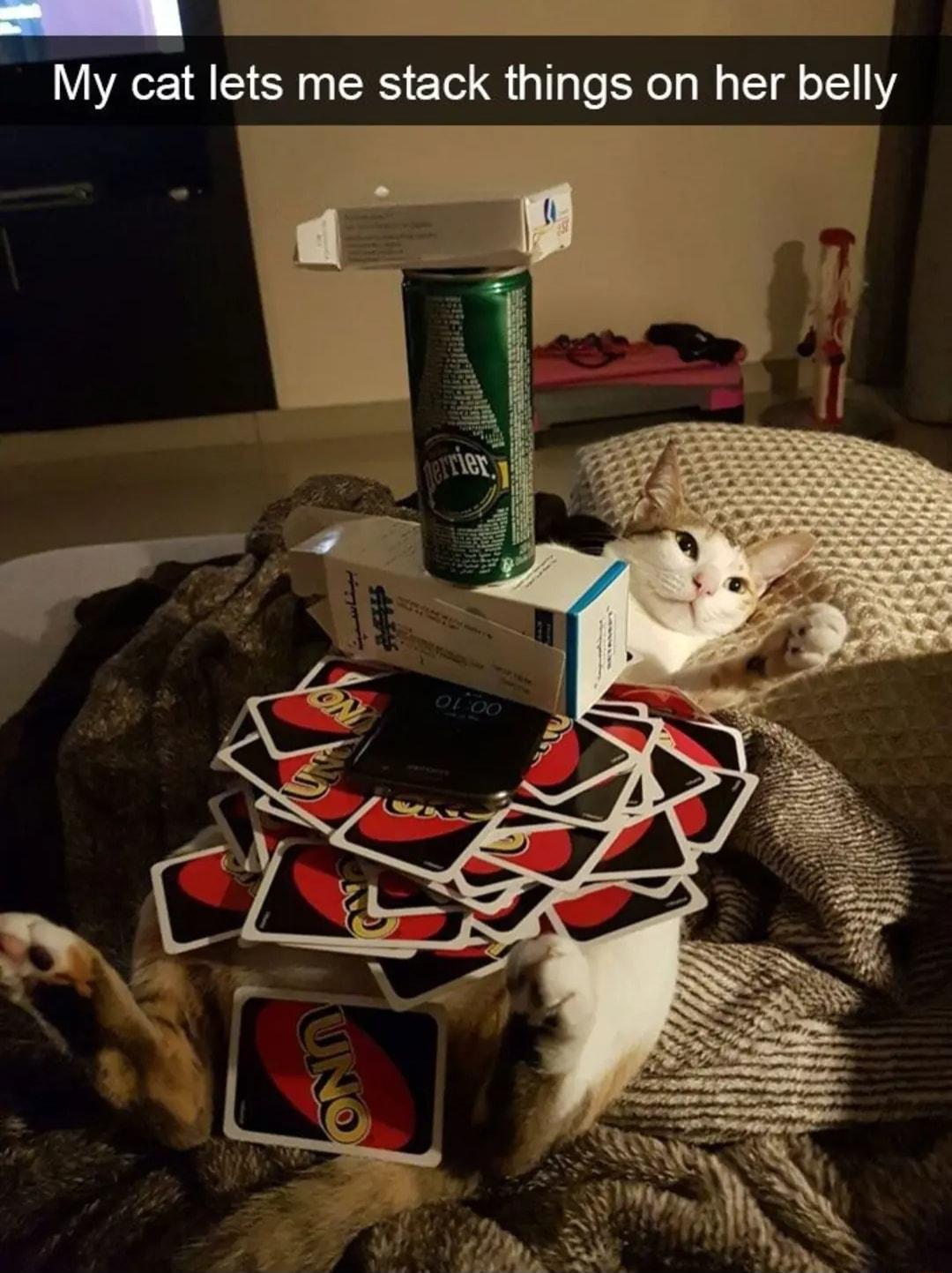 s My cat lets me stack things on her belly