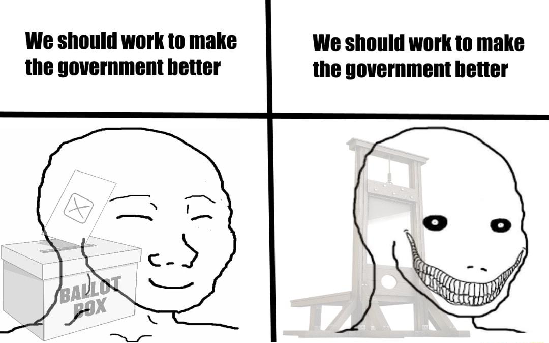 We should work to make We should work to make the government better the government better