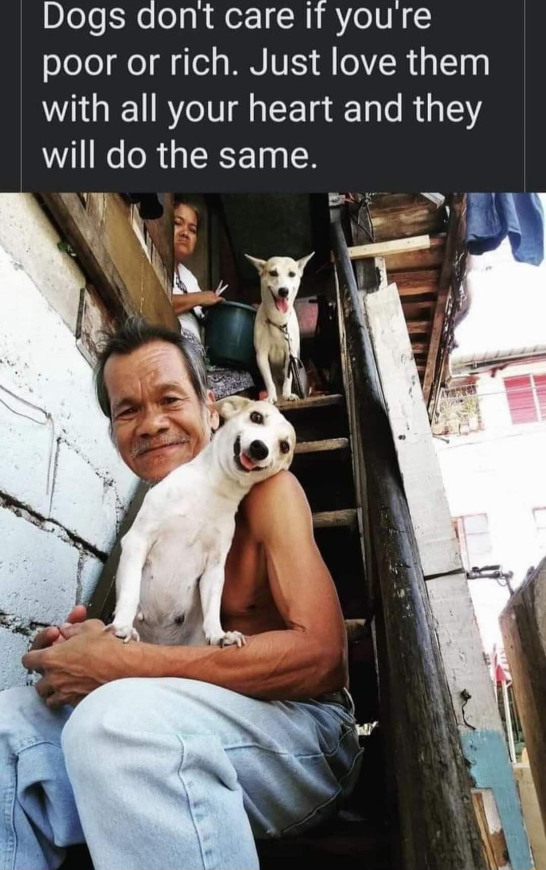 Dogs dont care if youre oJoTo ol fTel s NN VES 0VR 3 0 with all your heart and they will do the same 40