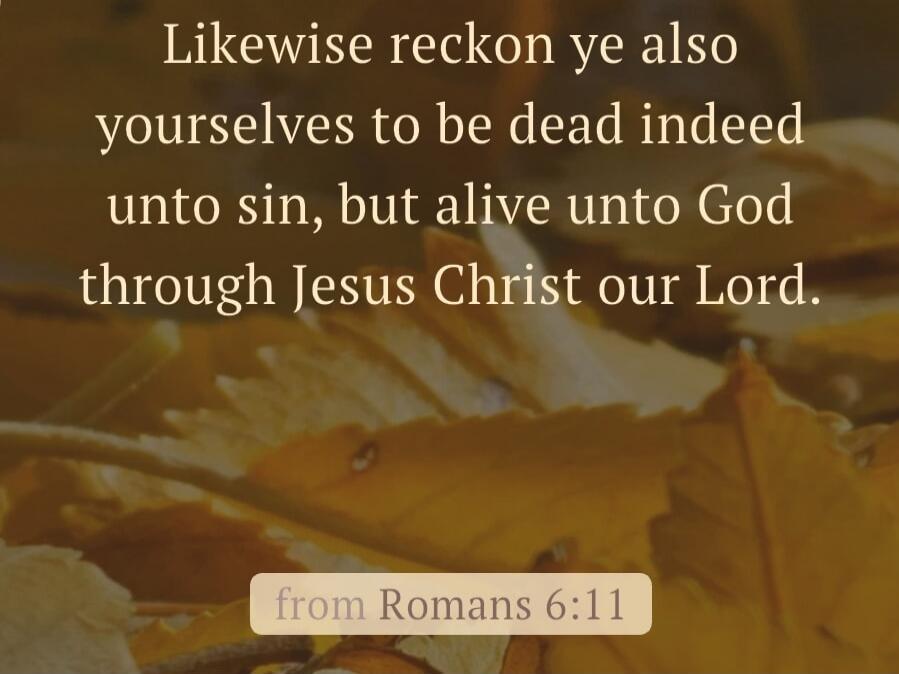 Likewise reckon ye also yourselves to be dead indeed unto sin, but alive unto God through Jesus Christ our Lord. from Romans 6:11