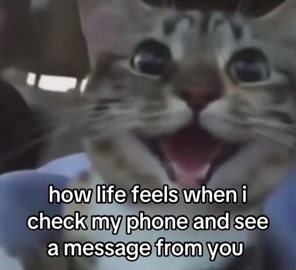 how life feels when i check my phone and see a message from you