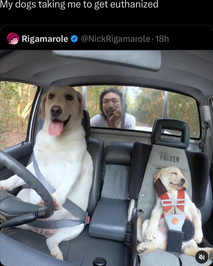 My dogs taking me to get euthanized Rigamarole VickRigamar