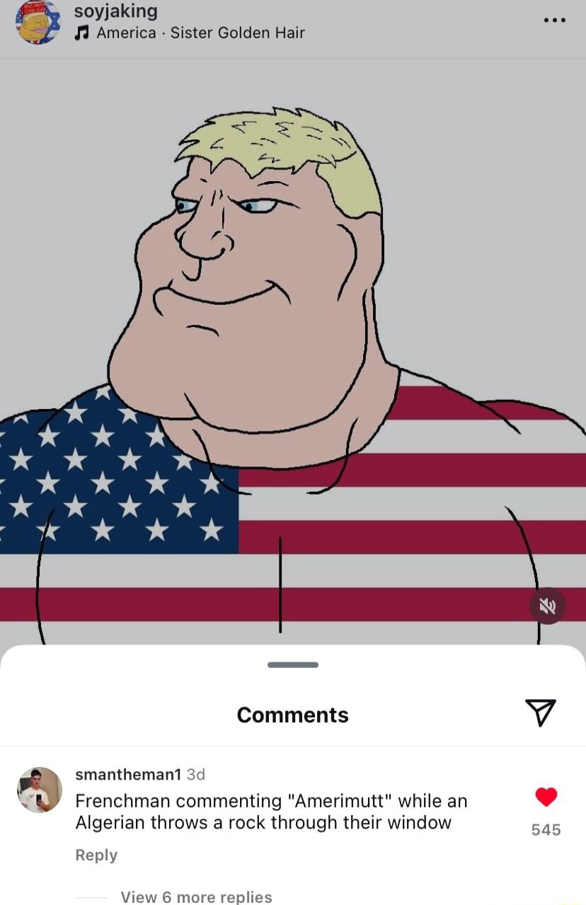 soyjaking America Sister Golden Hair Comments Y smanthemant 30 Frenchman commenting Amerimutt while an L 4 Algerian throws a rock through their window Reply View Py e