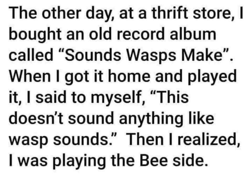 The other day at a thrift store bought an old record album called Sounds Wasps Make When got it home and played it said to myself This doesnt sound anything like wasp sounds Then realized was playing the Bee side
