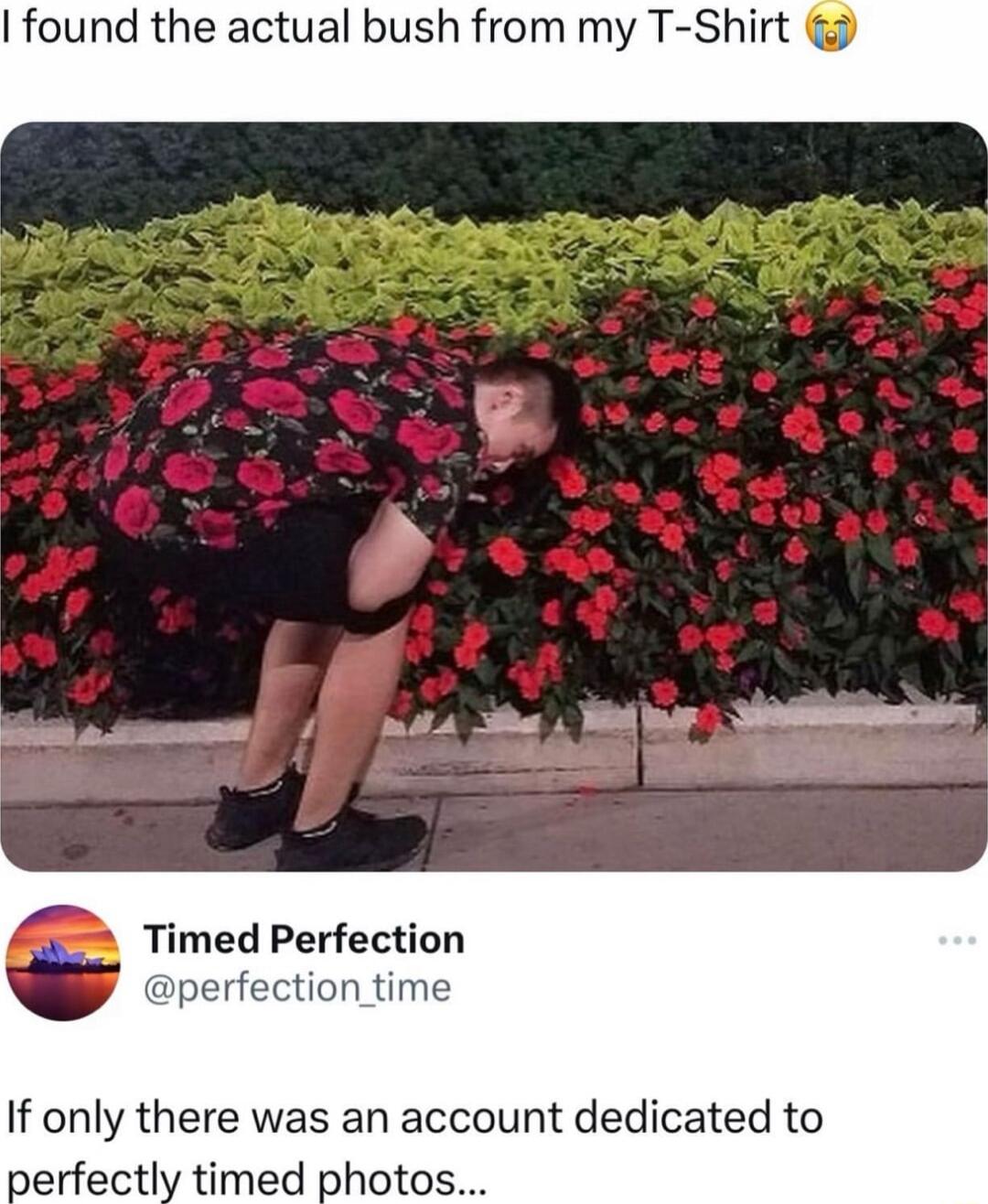 4 e T i S Timed Perfection perfection time If only there was an account dedicated to perfectly timed photos