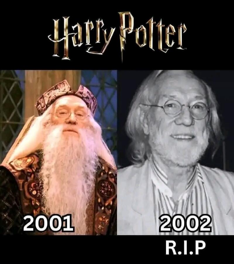 Harry Potter 2001 2002 R.I.P