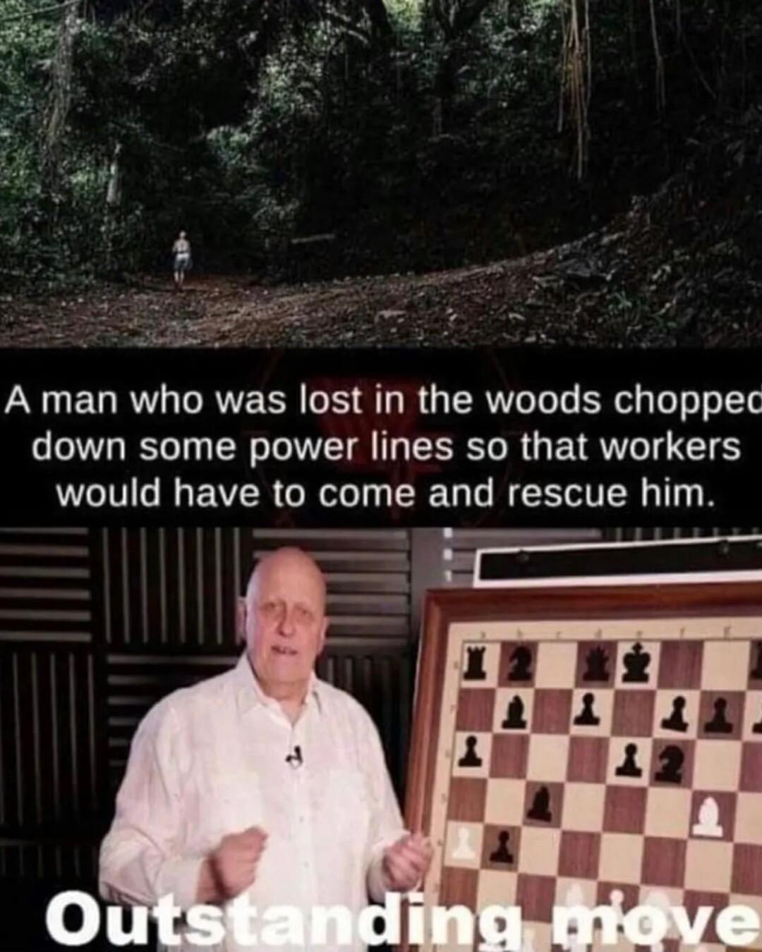 A man who was lost in the woods choppec down some power lines so that workers would have to come and rescue him