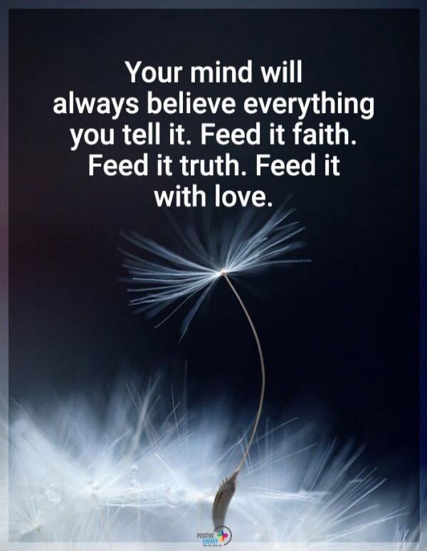 Your mind will always believe everything you tell it. Feed it faith. Feed it truth. Feed it with love. POSITIVE ENERGY