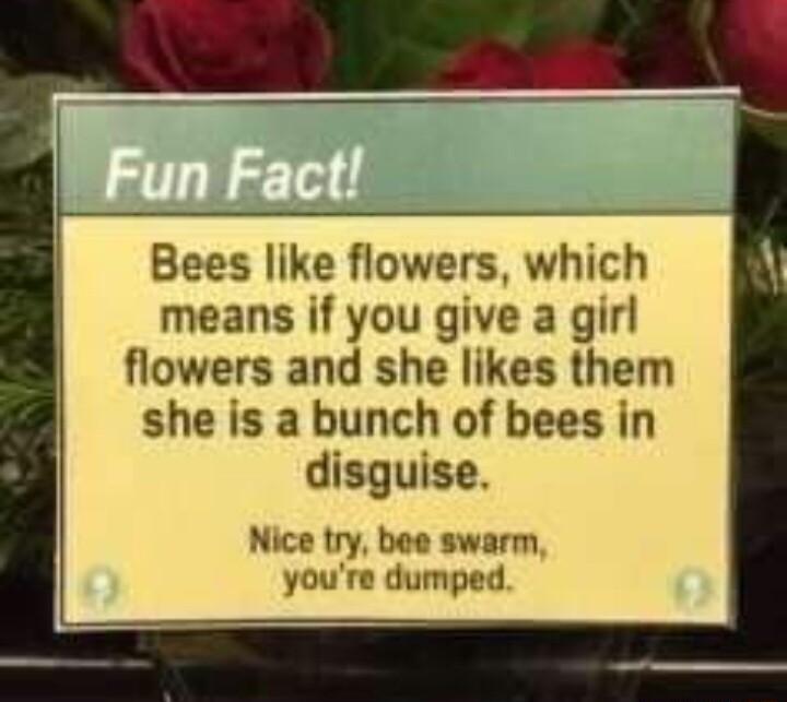 Bees like flowers which means if you give a girl flowers and she likes them she is a bunch of bees in disguise Nice try bee swarm youre dumped