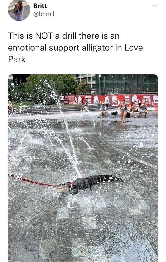 4 Britt brimil This is NOT a drill there is an emotional support alligator in Love Park