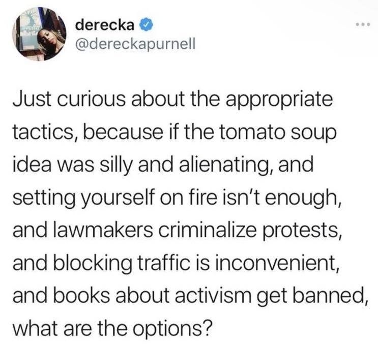 3 derecka dereckapurnell Just curious about the appropriate tactics because if the tomato soup idea was silly and alienating and setting yourself on fire isnt enough and lawmakers criminalize protests and blocking traffic is inconvenient and books about activism get banned what are the options
