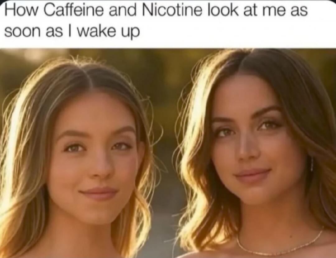 How Caffeine and Nicotine look at me as soon as I wake up