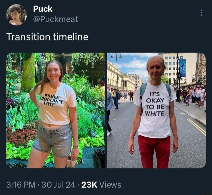 Puck Puckmeat Transition timeline 316 PM 30 Jul 24 23K Views