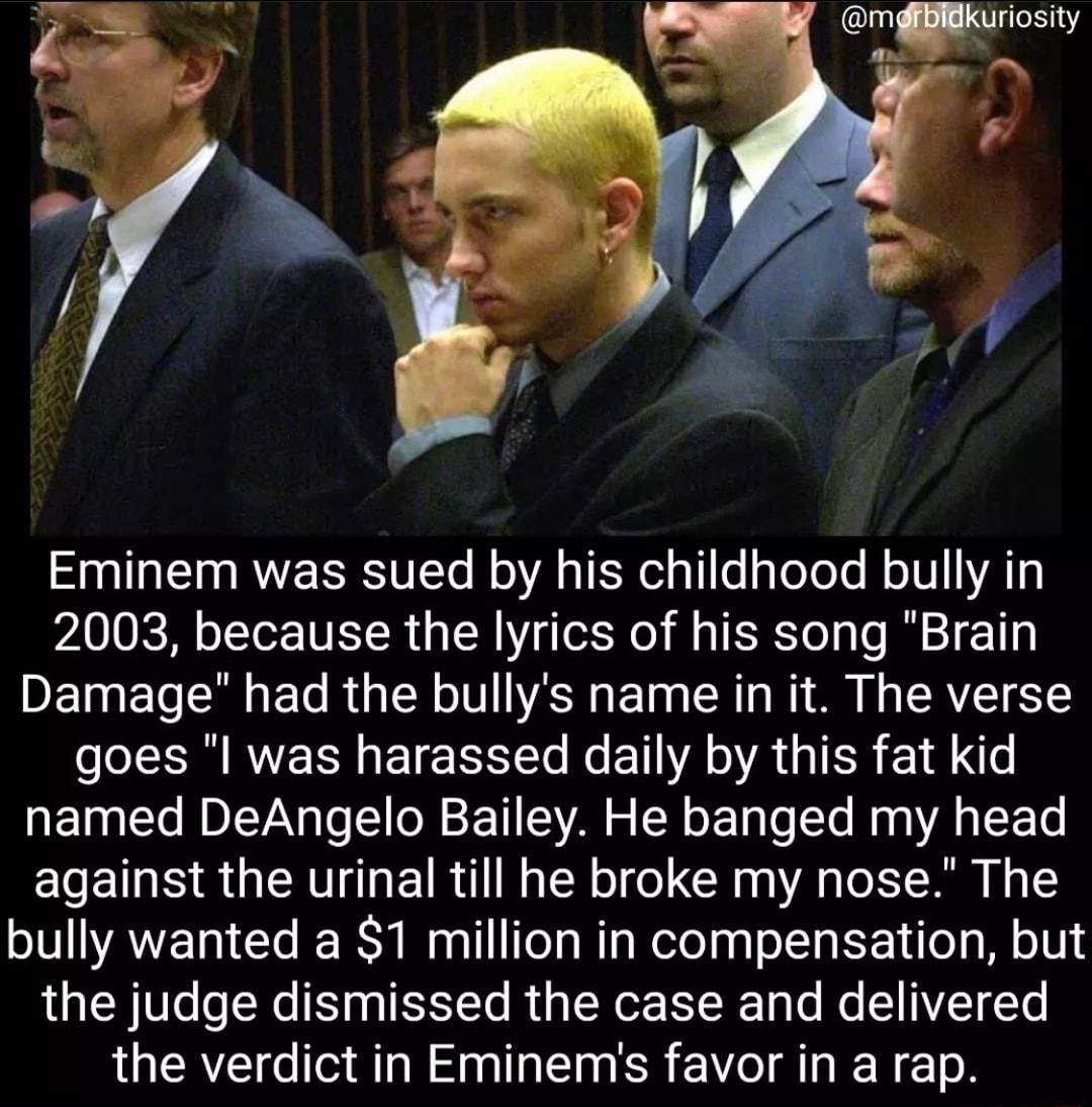Eminem was sued by his childhood bully in 2003 because the lyrics of his song Brain Damage had the bullys name in it The verse goes l was harassed daily by this fat kid named DeAngelo Bailey He banged my head against the urinal till he broke my nose The bully wanted a 1 million in compensation but the judge dismissed the case and delivered the verdict in Eminems favor in a rap