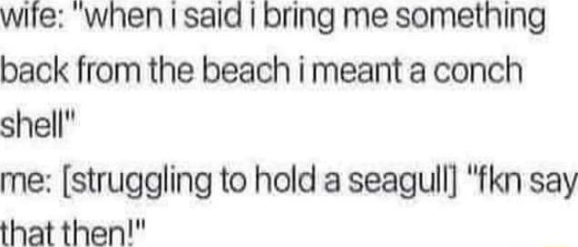 wile when I said bring me something back from the beach i meant a conch shell me struggling to hold a seagull fkn say that then