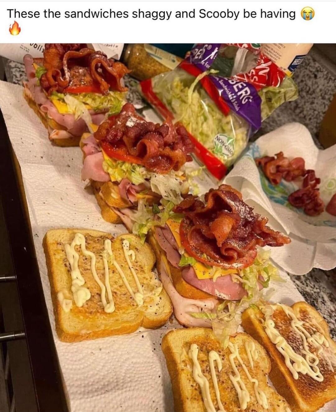 These the sandwiches shaggy and Scooby be having