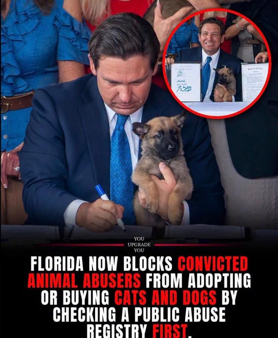 FLORIDA NOW BLOCKS CONVICTED ANIMAL ABUSERS FROM ADOPTING OR BUYING CATS AND DOGS BY CHECKING A PUBLIC ABUSE REGISTRY FIRST.