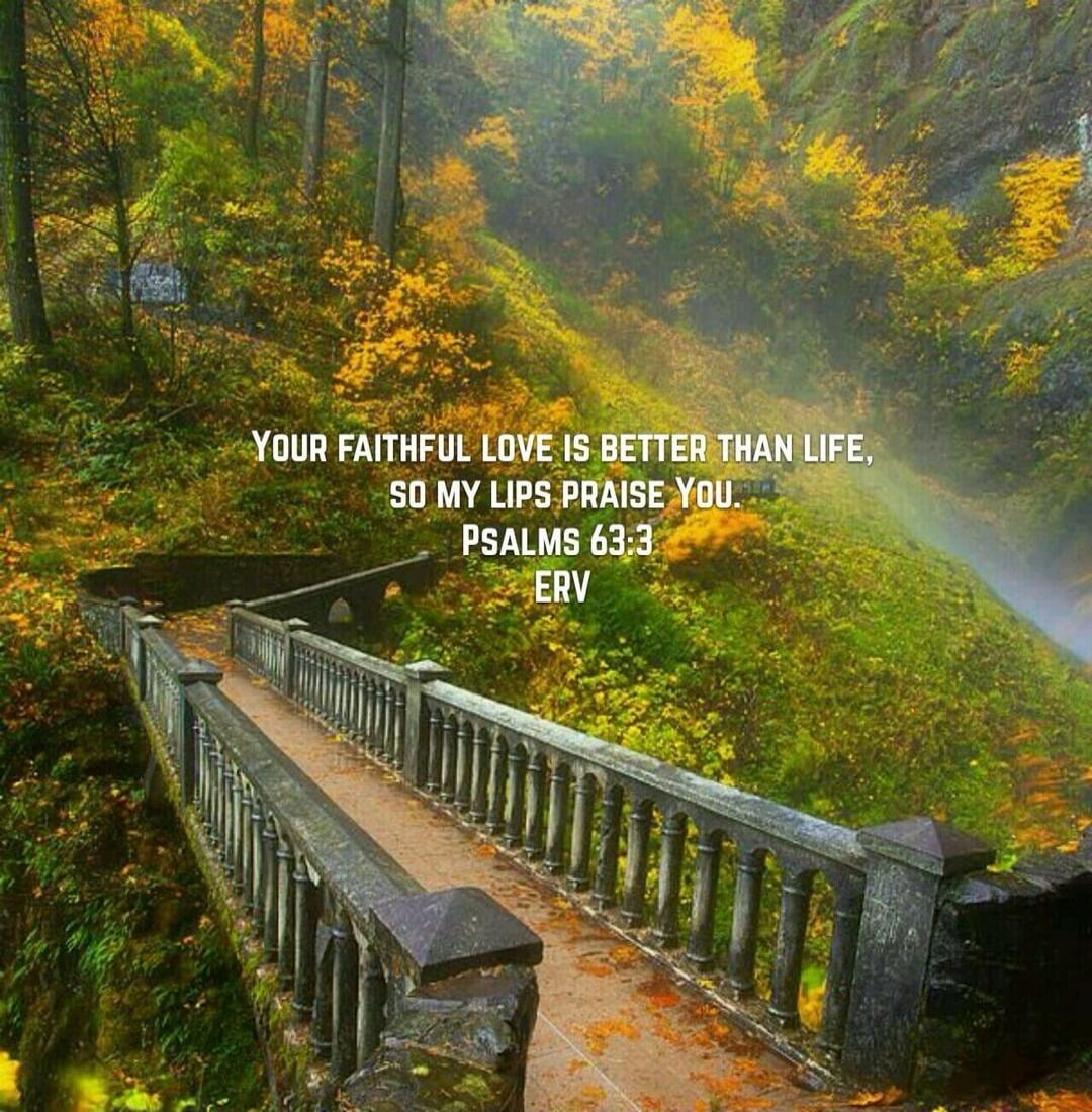 YOUR FAITHFUL LOVE IS BETTER THAN LIFE, SO MY LIPS PRAISE YOU. PSALMS 63:3 ERV