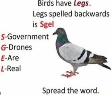 Birds have Legs Legs spelled backwards is Sgel S Government G Drones E Are L Real Spread the word