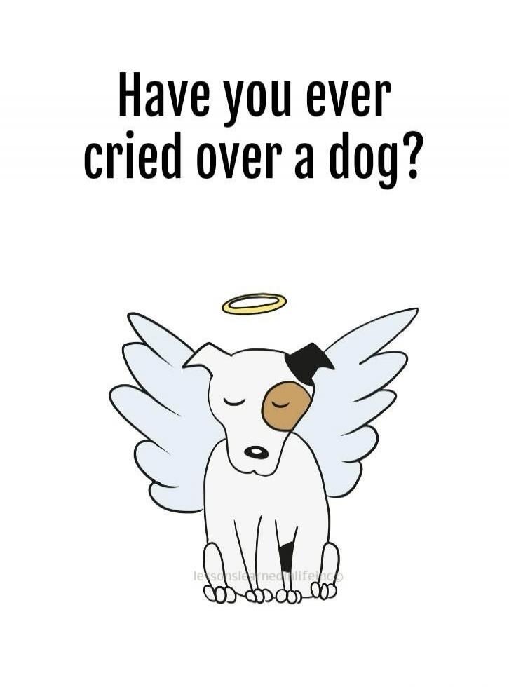 Have you ever cried over a dog?