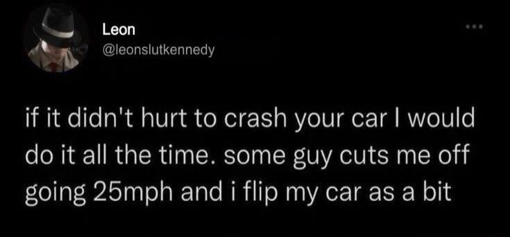 S Leon M leonslutkennedy if it didnt hurt to crash your car would do it all the time some guy cuts me off going 25mph and i flip my car as a bit