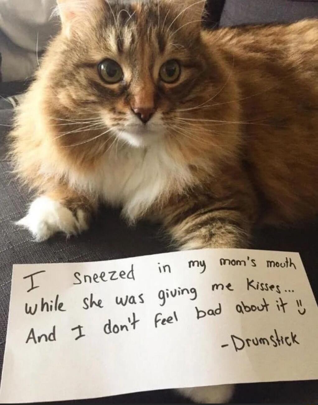 Snek eRZ od N 2 mom s meuth whi Y she was 93 me Ki b od Mm v fee And T don _bmscl