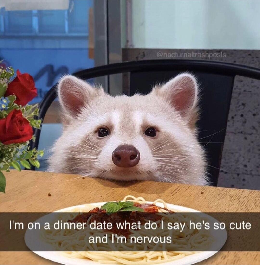 Im on a dinner date what do say hes so cute and Im nervous