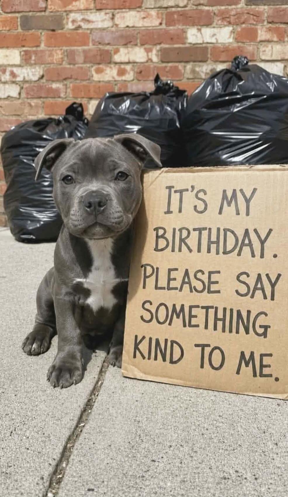 IT'S MY BIRTHDAY. PLEASE SAY SOMETHING KIND TO ME.
