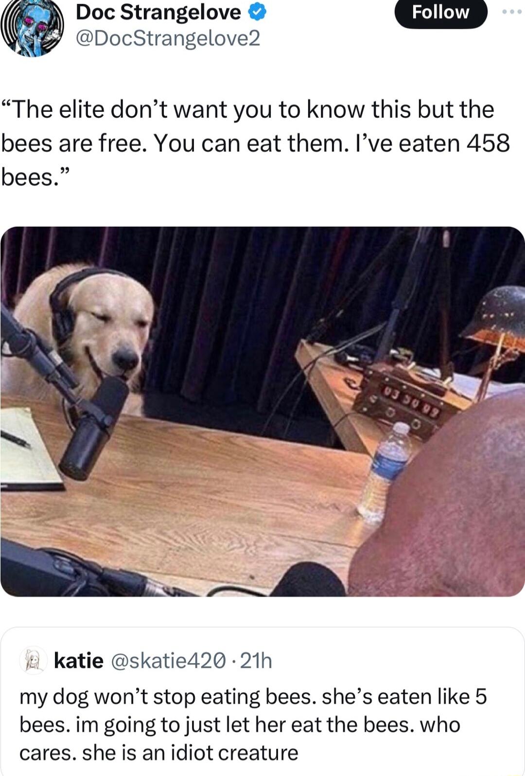 Doc Strangelove Follow J DocStrangelove2 The elite dont want you to know this but the bees are free You can eat them Ive eaten 458 bees katie skatie420 21h my dog wont stop eating bees shes eaten like 5 bees im going to just let her eat the bees who cares she is an idiot creature