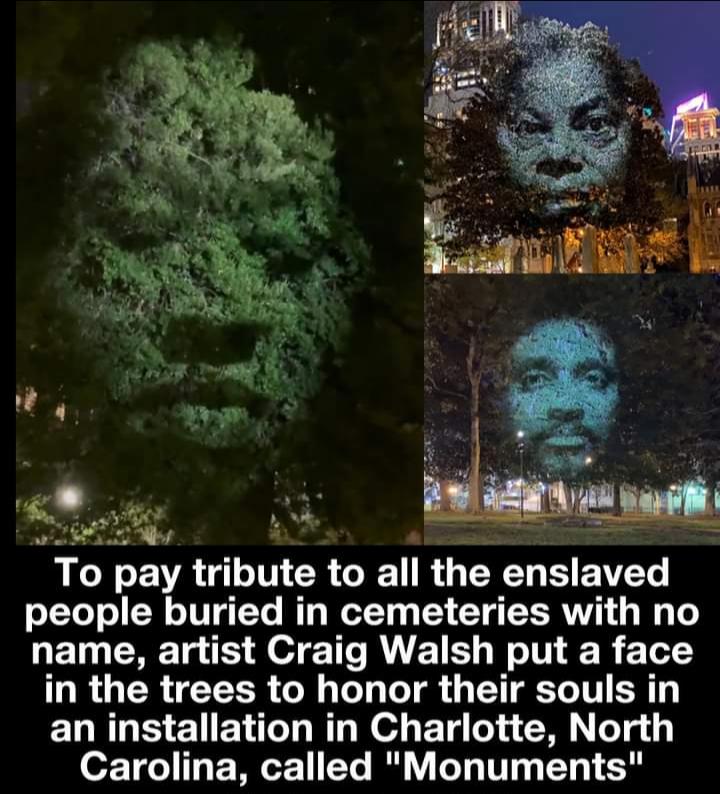 LGN LA N CR T RO YL B E Y people buried in cemeteries with no name artist Craig Walsh put a face in the trees to honor their souls in EQRUSIEENTLNT N e ET T CR Ty o2 o1 ITL W T I V O T T TR